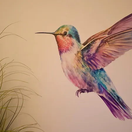 Colibri W Ac * بوخارست