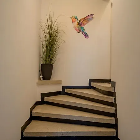 Colibri W Ac بوخارست